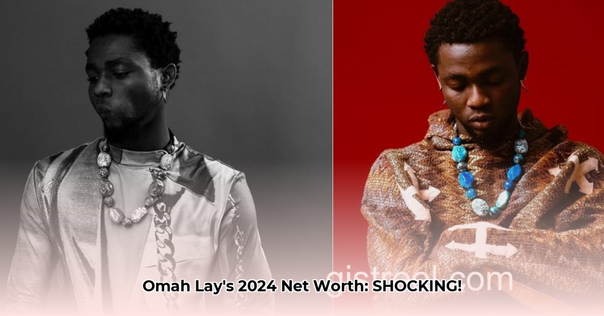 omah-lay-net-worth